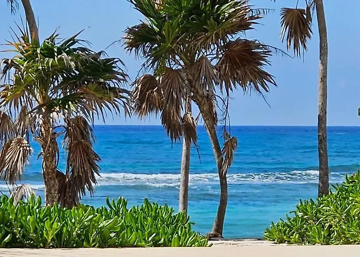 A Sanctuary By The Sea Akumal